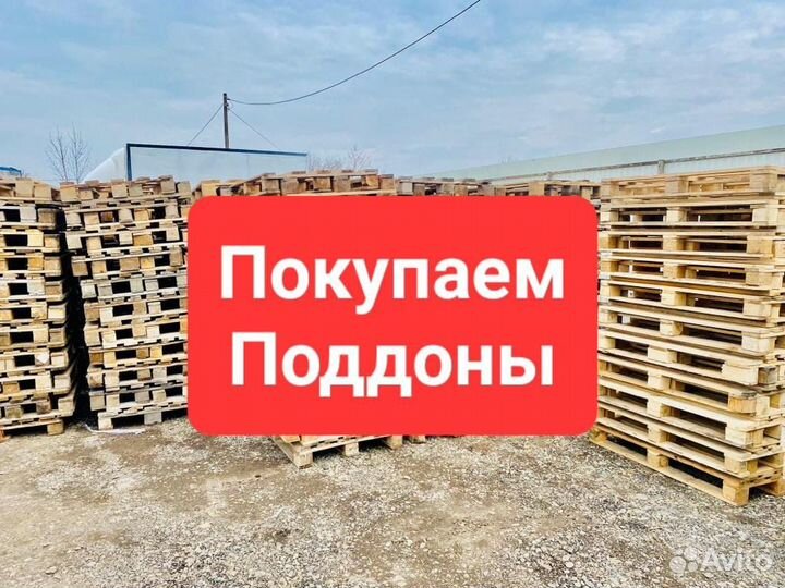 Поддоны