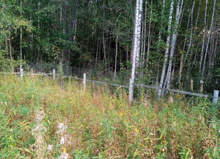 Участок 15 сот. (ИЖС)