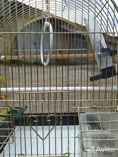 Клетка для попугая
