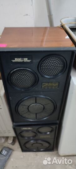 Акустическая система 25 ас -109