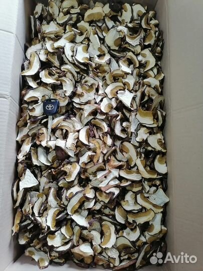 Сухой гриб (белый гриб)