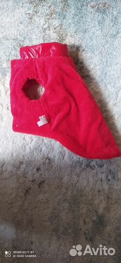 Одежда для собак мелких пород