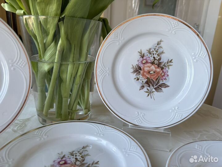 Тарелки Хайта СССР