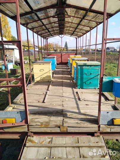 Пчёловодная платформа