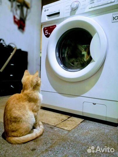 Ремонт Стиральных Машин на Дому