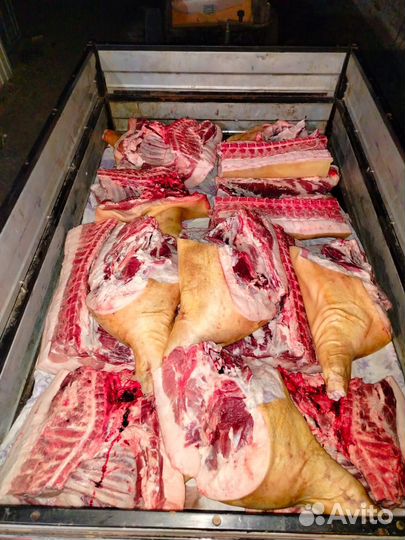 Мясо свинина домашняя