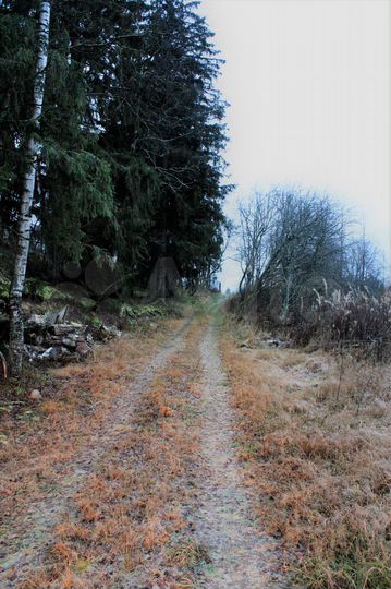 Участок 30 сот. (ИЖС)