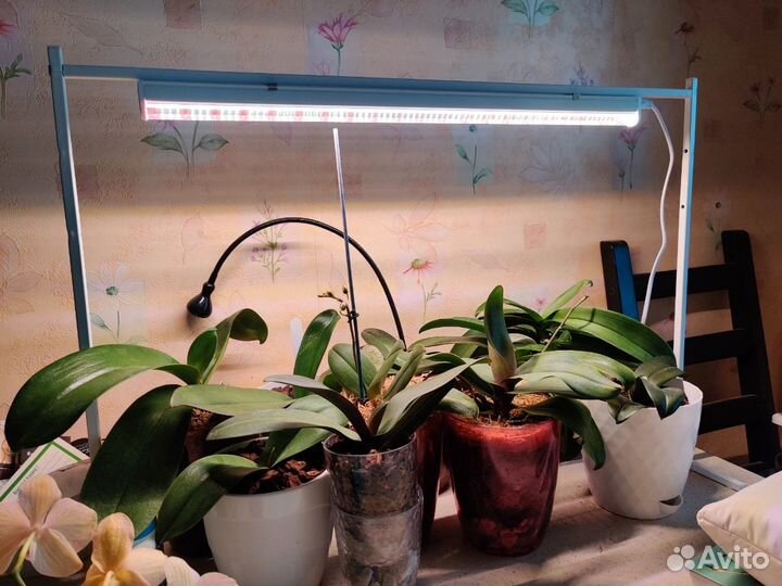 Фитосветильник для растений Uniel ULI-P18-15W