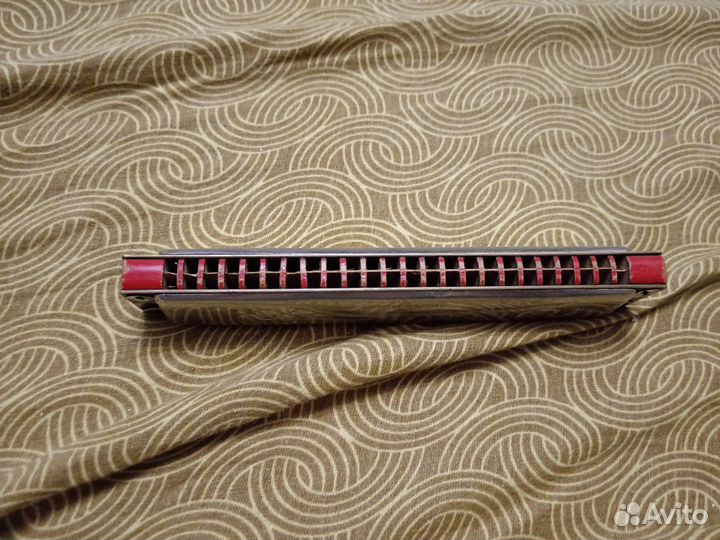 Гармошка германия