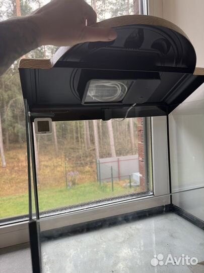 Черепашатник аква гесса