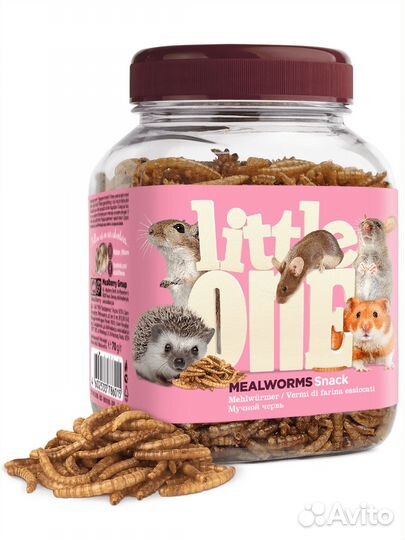 Мучной червь для хомяков