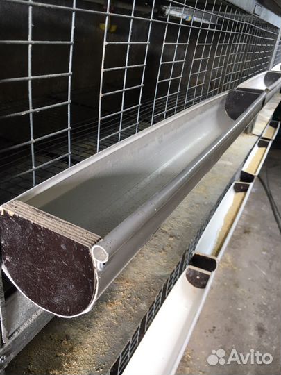 Клетка (брудер)