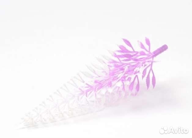 Колосок бело-сиреневый