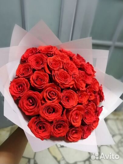 Розы Эквадор премиум класса 60 см