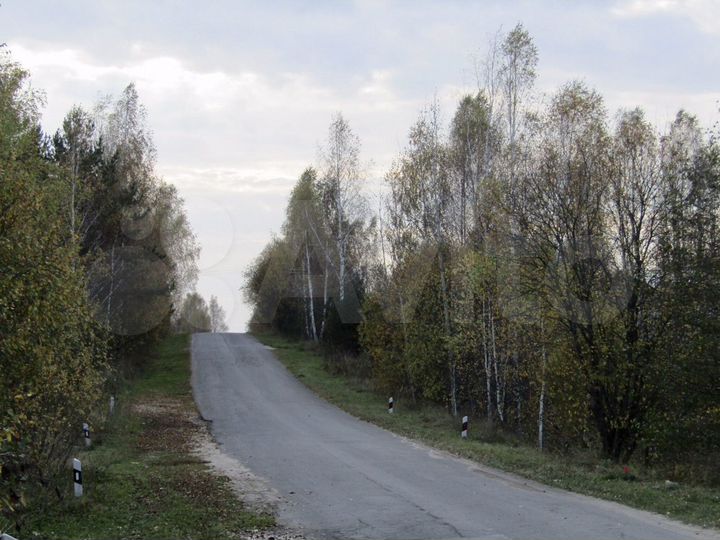 Участок 40 сот. (ИЖС)