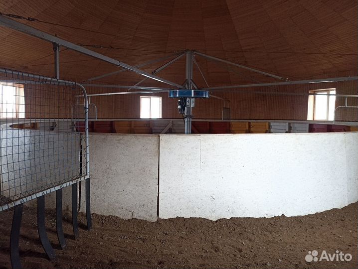 Постой лошадей (аренда денника/конюшни)