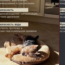 Монтаж и проектирование Умного дома под ключ, Москва