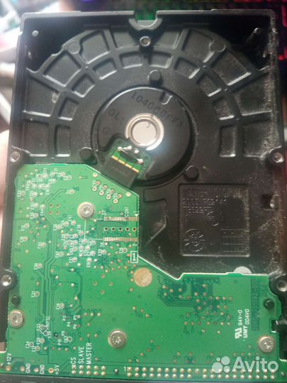 Жесткий диск western digital