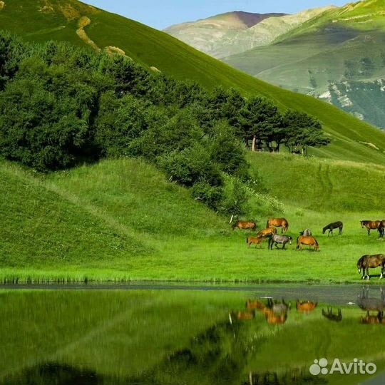 Туры по России