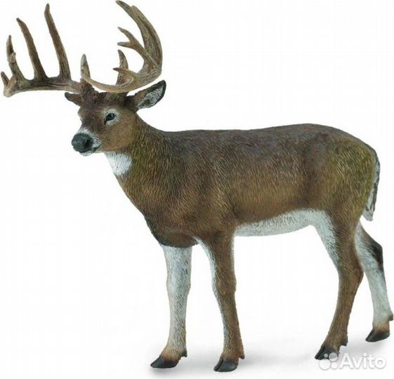 Олень белохвостый L 88832b