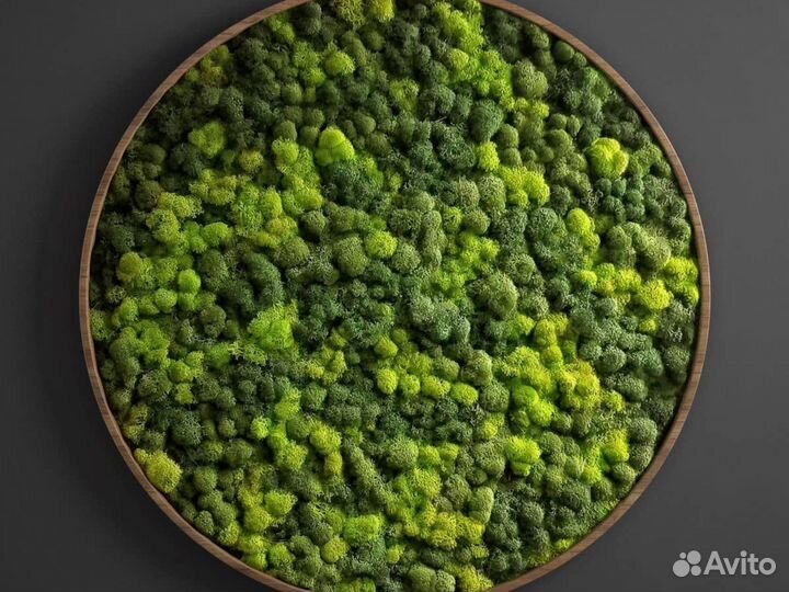 Панно из мха