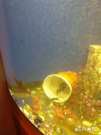 Аквариум juwel с тумбой угловой