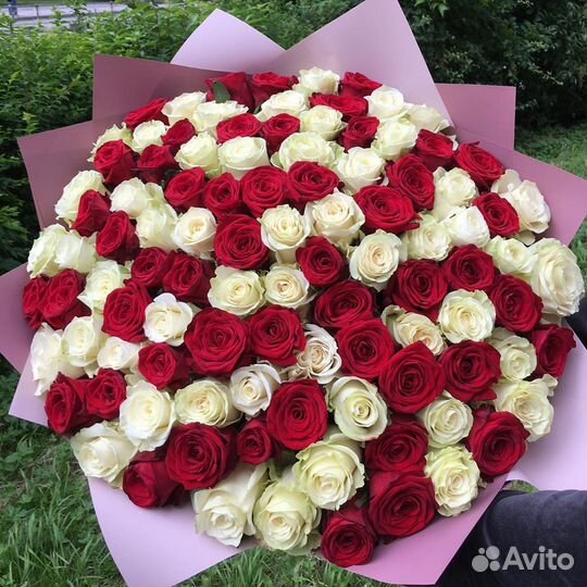 101 роза цветы букет