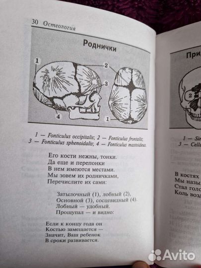Карманный анатомический альбом Л.В. Пупышев
