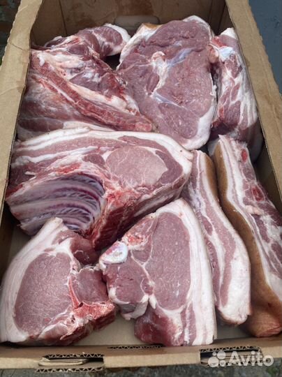 Свежая свинина с доставкой