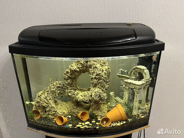 Аквариум с тумбой 60л
