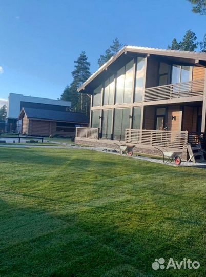 Рулонный газон