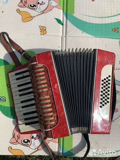 Аккордеон