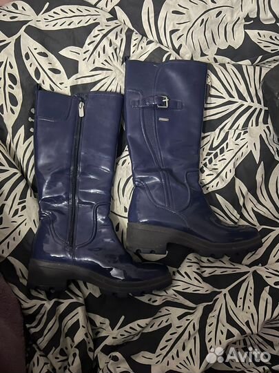 Сапоги женские rockport