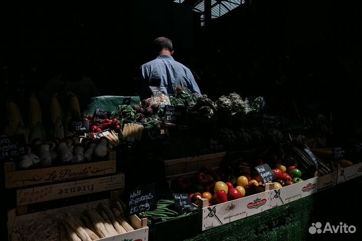 Пресеты RNI All Films 5 Pro