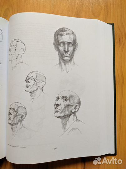 Книга по рисованию. Николай Ли: Рисунок