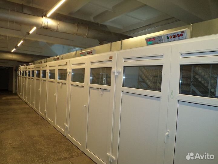 Блок управления инкубатором ип-16 бми-Ф-15.430М