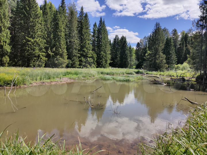 Участок 6 га (СНТ, ДНП)