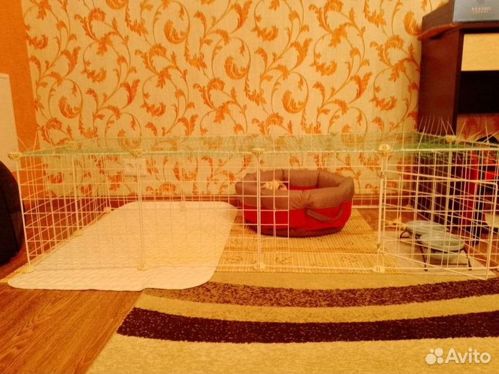 Вальйер для щенков