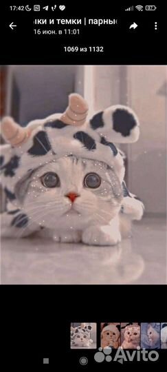 Очень красивые плокаты