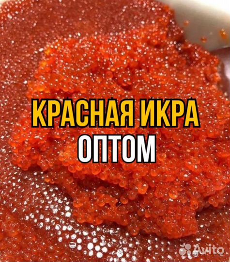 Красная икра оптом