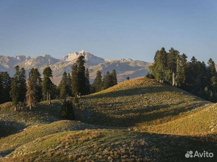 Выше облаков в Абхазии