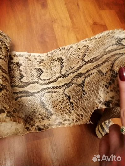 Шкура питона (натуральная кожа змеи)