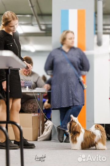 Услуги хендлера