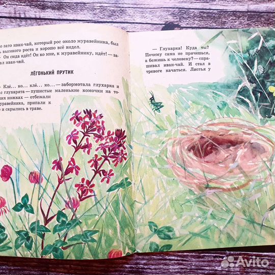 Брагин. Однажды вечером в лесу. 1960 г