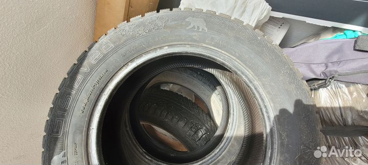 Gislaved Nord Frost 5 195/65 R15