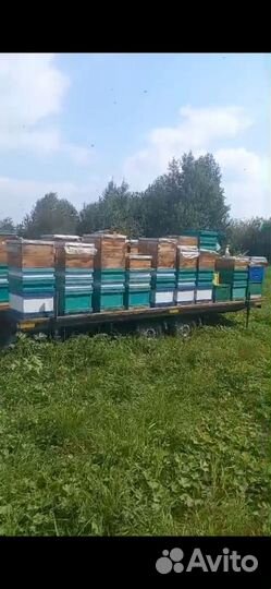 Прицеп для пчёл / пчел / пчелоприцеп