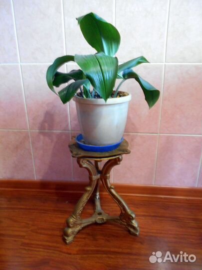 Подставка под цветы