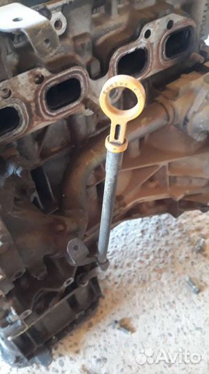 Щуп масляный qr25de nissan