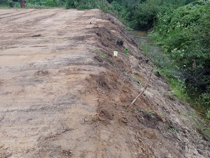 Участок 10 сот. (СНТ, ДНП)