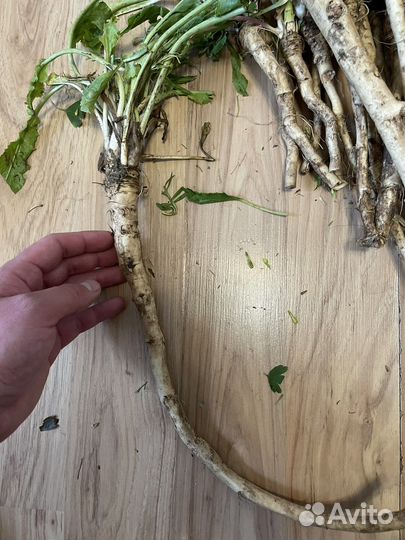 Хрен на посадку